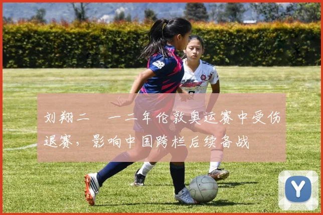 刘翔二〇一二年伦敦奥运赛中受伤退赛，影响中国跨栏后续备战