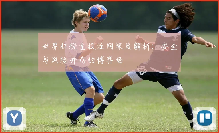 世界杯现金投注网深度解析：安全与风险并存的博弈场