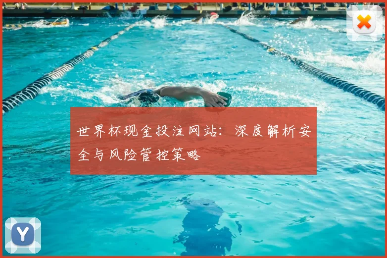世界杯现金投注网站：深度解析安全与风险管控策略