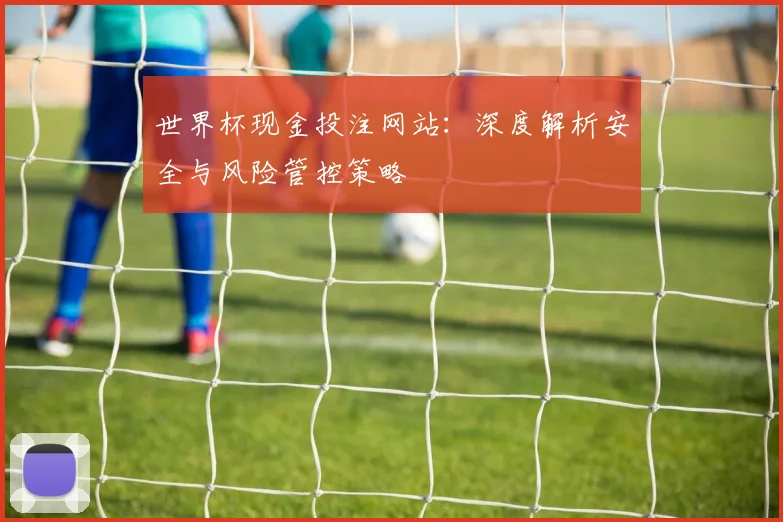 世界杯现金投注网站：深度解析安全与风险管控策略