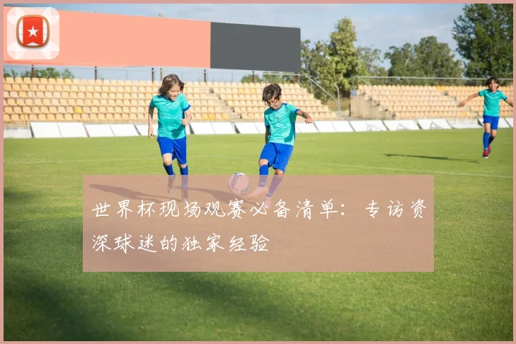 世界杯现场观赛必备清单：专访资深球迷的独家经验