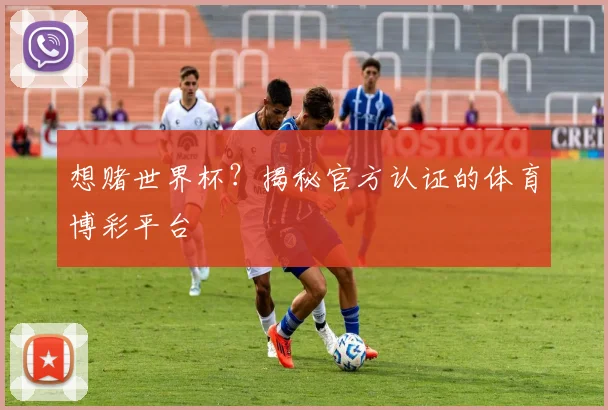想赌世界杯？揭秘官方认证的体育博彩平台