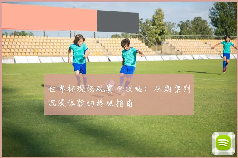 世界杯现场观赛全攻略：从购票到沉浸体验的终极指南