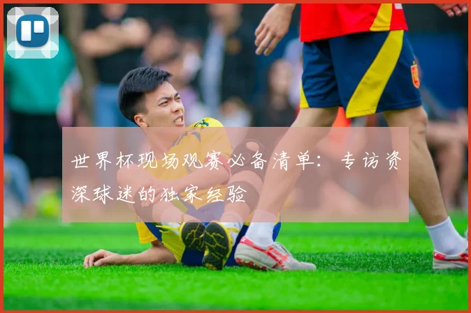 世界杯现场观赛必备清单：专访资深球迷的独家经验