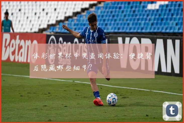 体彩世界杯中奖查询体验：便捷背后隐藏哪些细节？