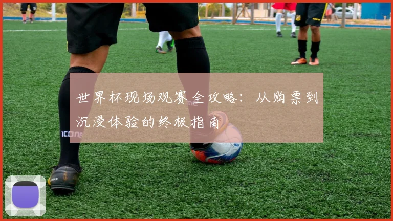 世界杯现场观赛全攻略：从购票到沉浸体验的终极指南