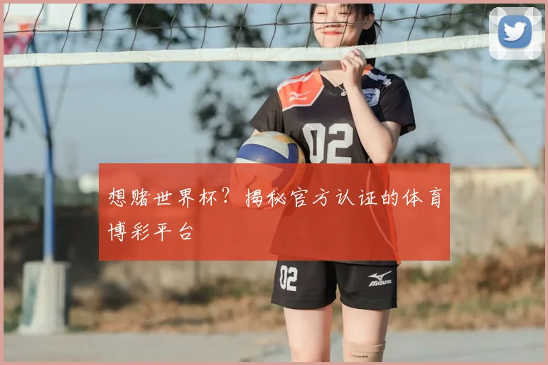 想赌世界杯？揭秘官方认证的体育博彩平台